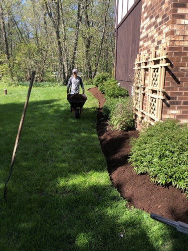 Seasonal color display using annual flowers and mulch refresh