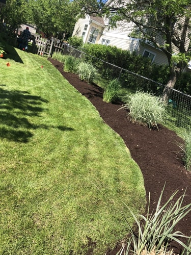 Tree and shrub pruning for clean, well-shaped landscape beds