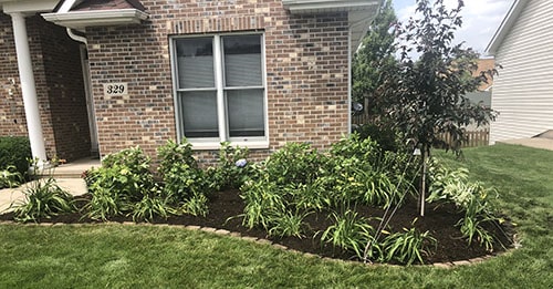 Lawn care and maintenance services in Harvard IL