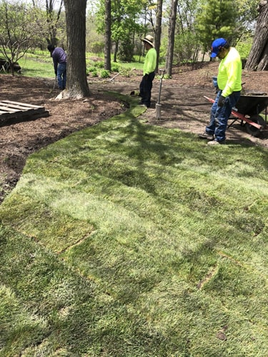 Walkway installation with sod edging by Plant Garden Landscaping in Harvard IL