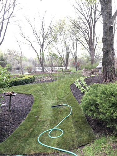 Sod and paver path combination creating a clean, green landscape design