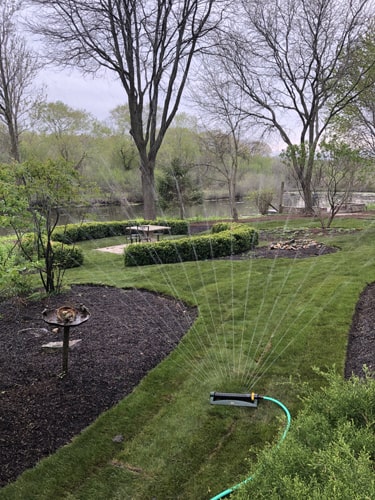 Fresh green sod surrounding a curved walkway in a front yard
