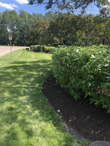 Plant Garden Landscaping crew mowing grass at a business property in Harvard IL