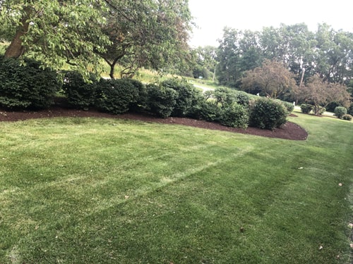 Lawn care service for office park with healthy green turf and landscaping