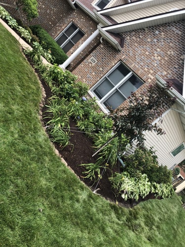 Clean garden design with layered plants and natural stone edging