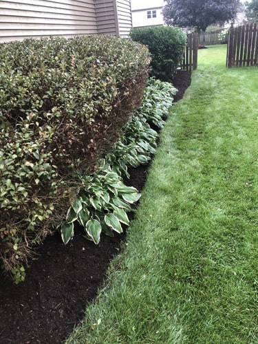 Plant Garden Landscaping team providing lawn care for a suburban home in Harvard IL