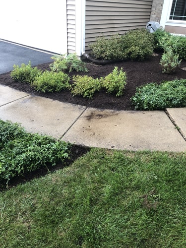 Backyard with evenly cut grass and well-maintained landscaping borders