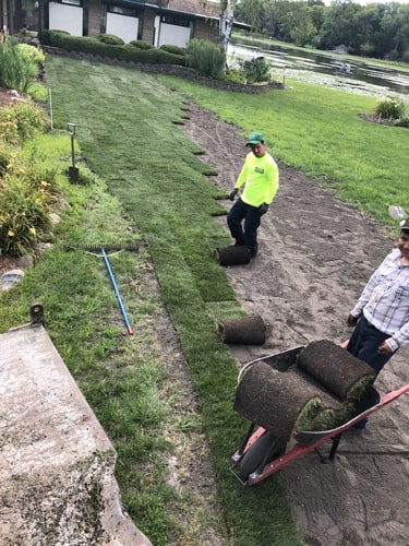 Completed sod installation with vibrant green lawn in Harvard IL