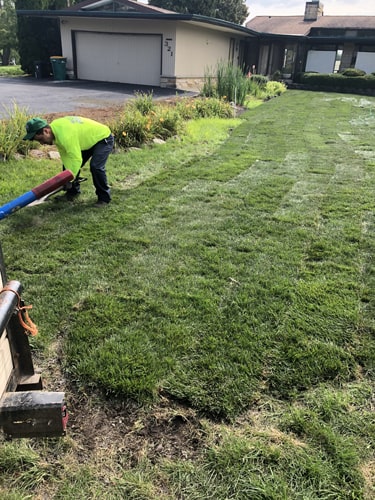 Landscaping crew installing rolls of sod for a new backyard lawn