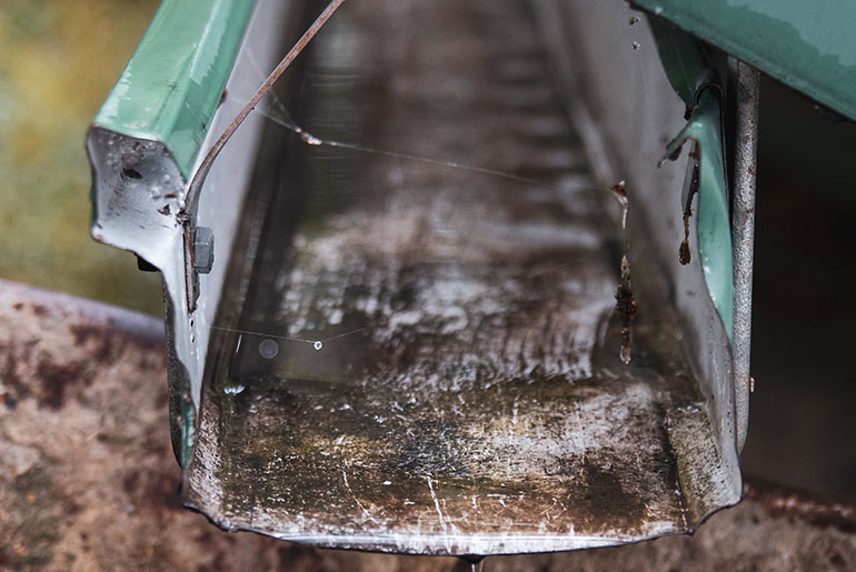 Gutter Cleaning Services in Harvard IL