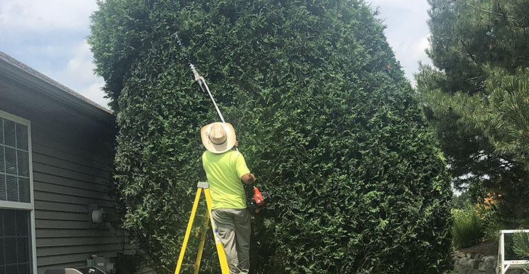Pruning Services in Harvard IL